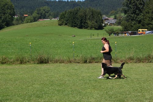 Bild